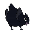crow crow